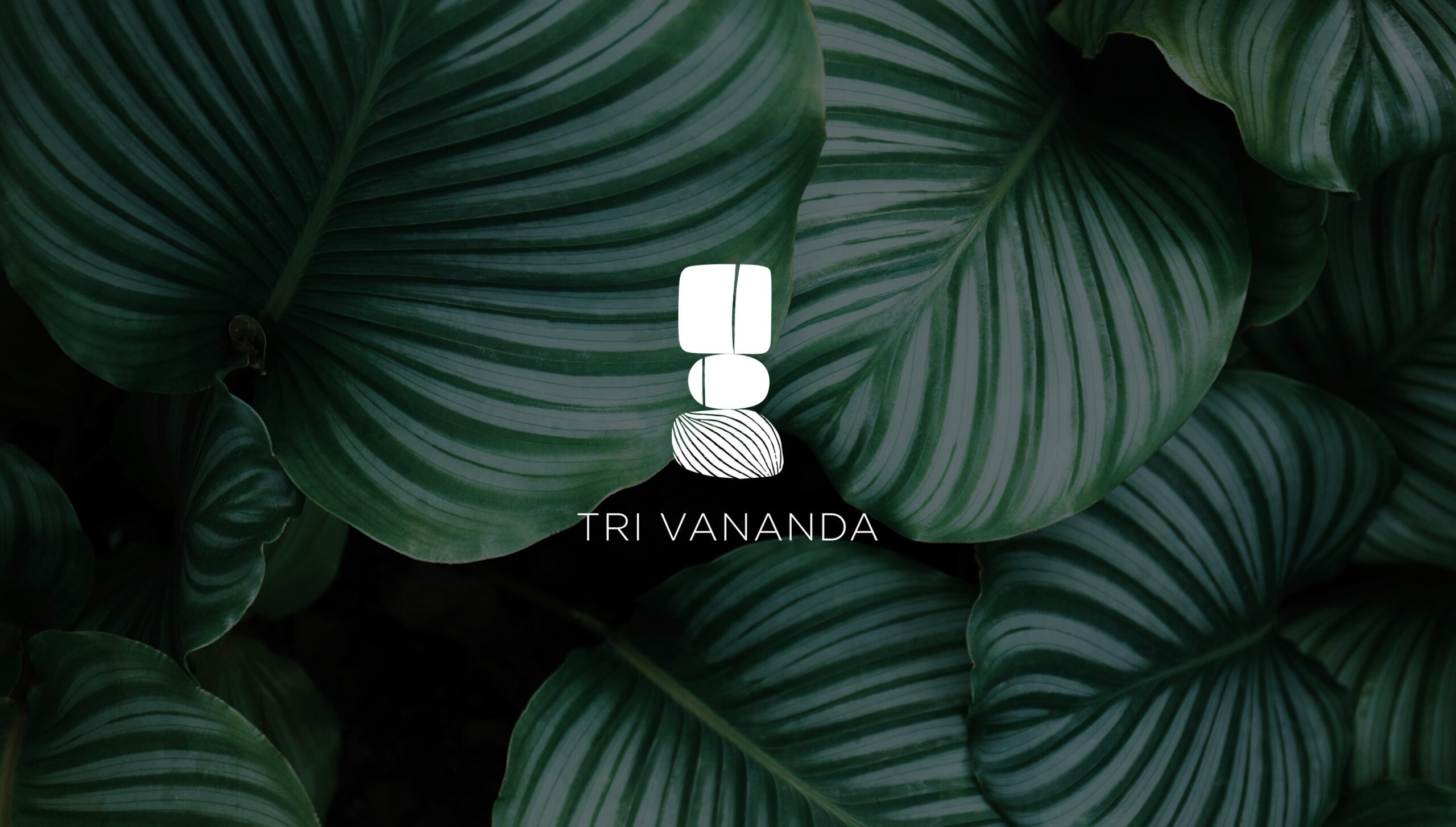 tri-vananda-logo-hero-1-scaled.jpg